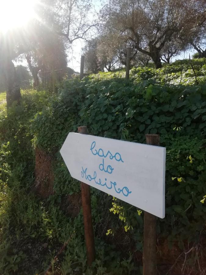 サンティアゴ・ド・カセーン Casa Do Moleiroヴィラ エクステリア 写真
